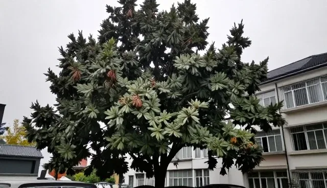 医疗数据驱动下的个性化健康方案性能分析
